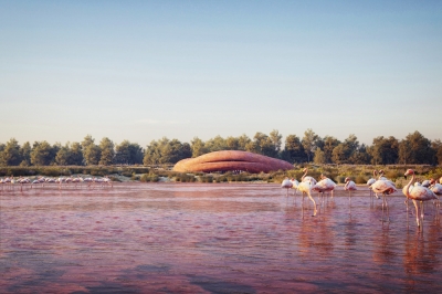 Návštěvnické centrum rezervace plameňáků v Abu Dhabi